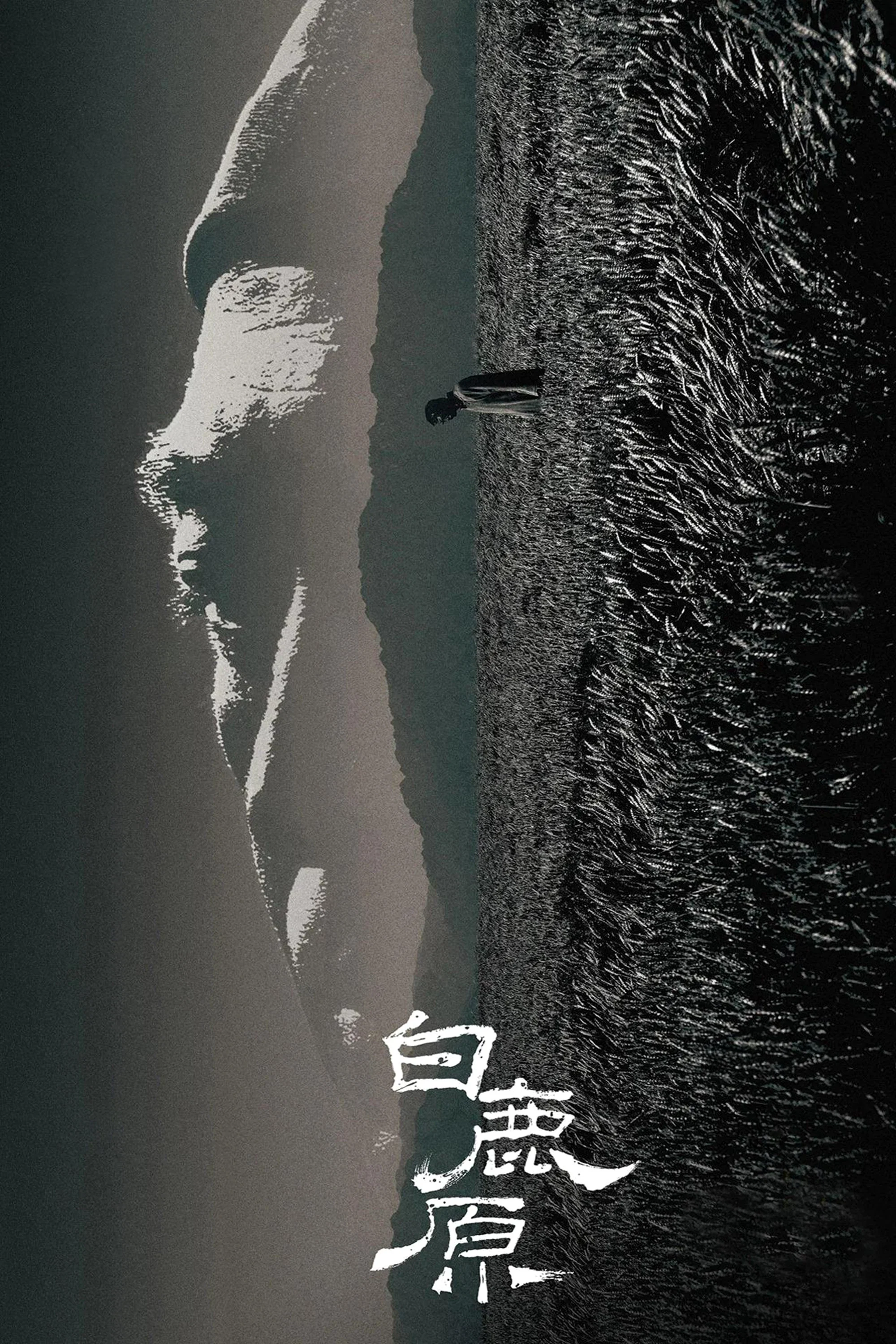 白鹿原