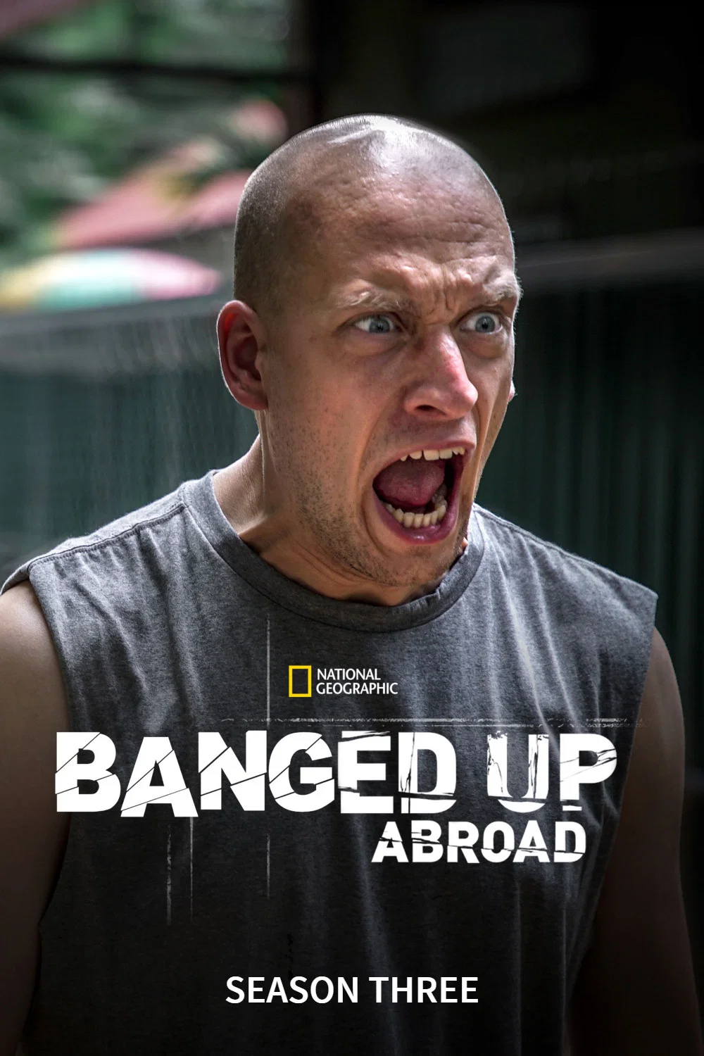 第 3 季