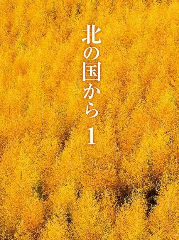 特别篇