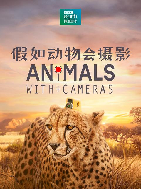 第 1 季