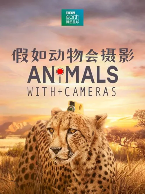第 1 季