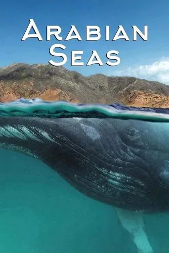 阿拉伯海