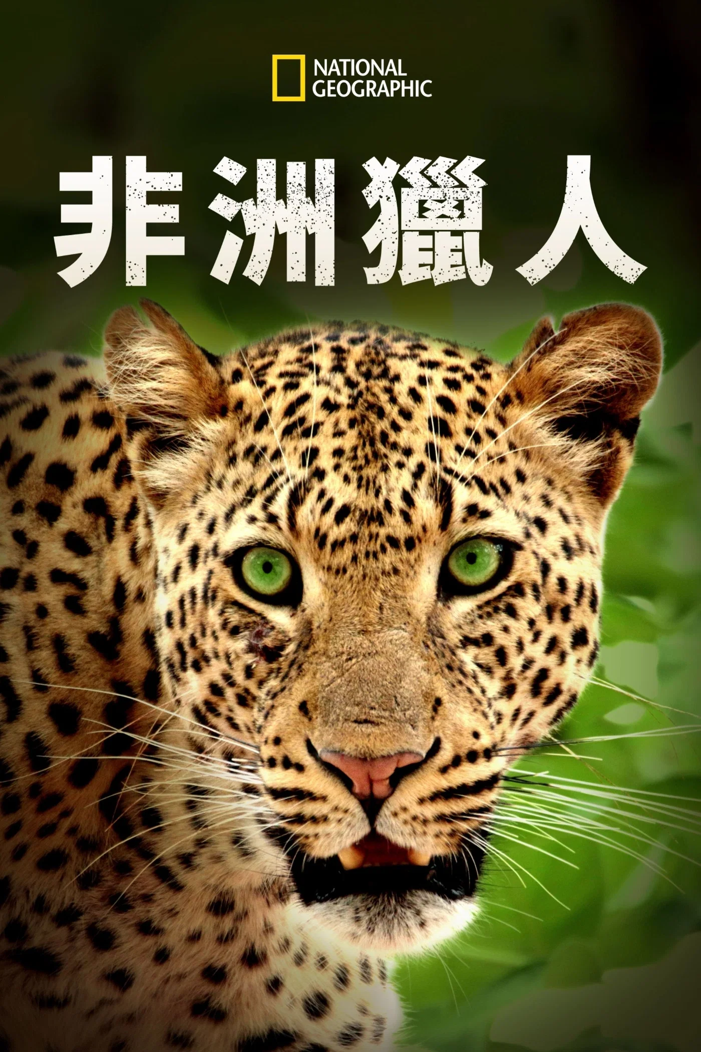 非洲猎人