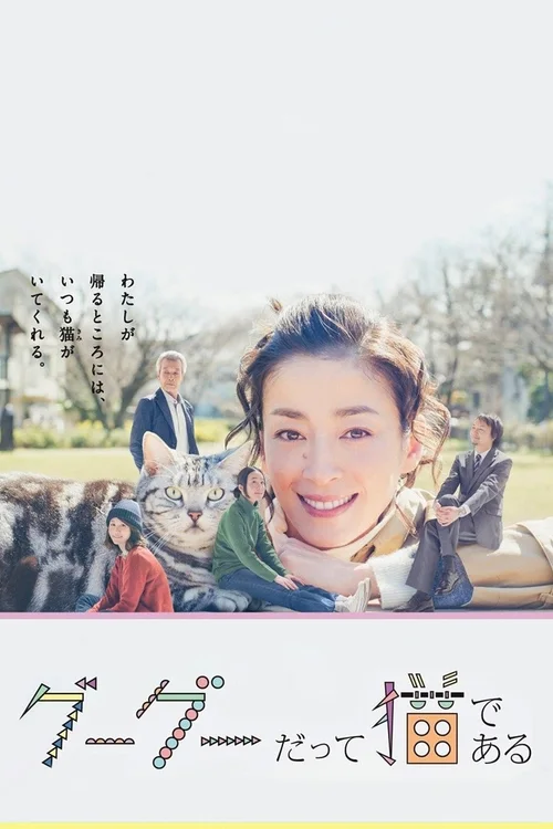 咕咕是一只猫