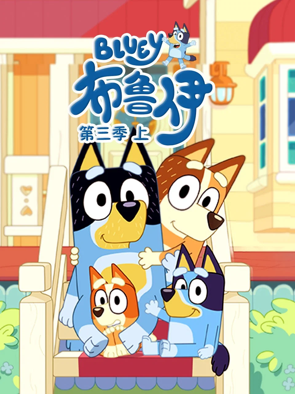 布鲁伊