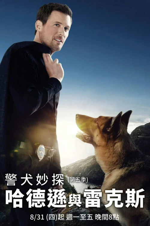 第 5 季