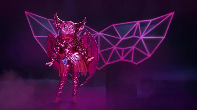The Masked Singer 剧照 2