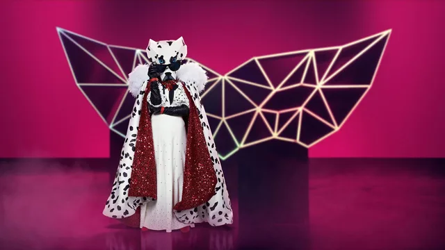 The Masked Singer 剧照 8
