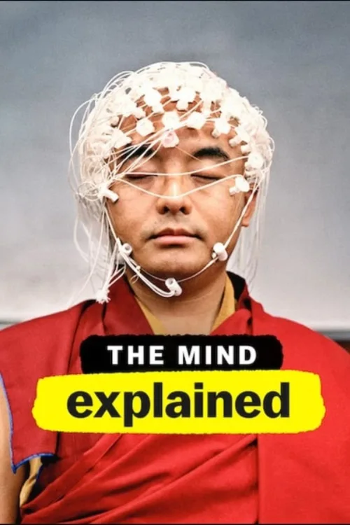 第 1 季