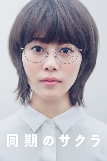 同期的小樱