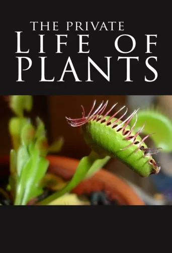 植物私生活