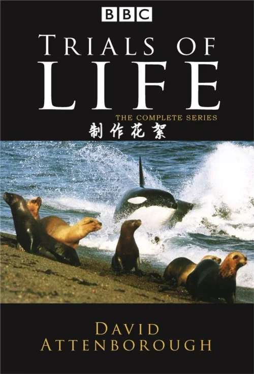 特别篇