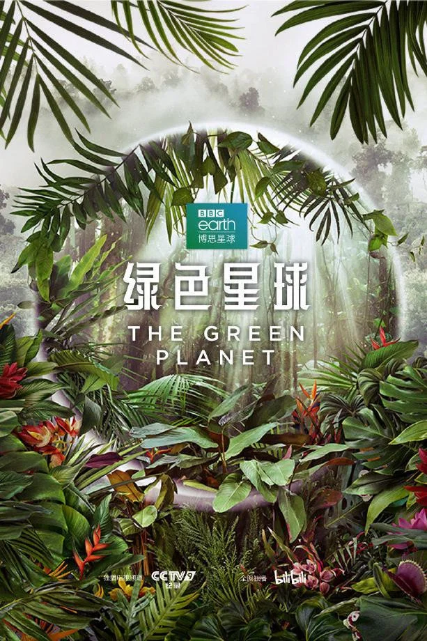 绿色星球