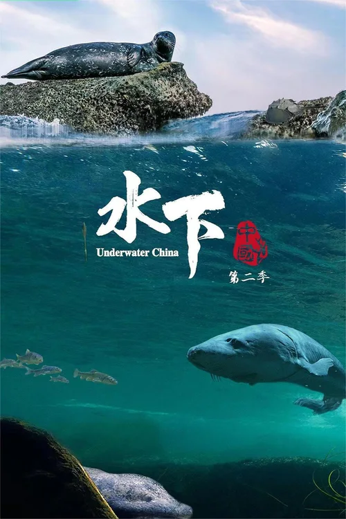 第 2 季
