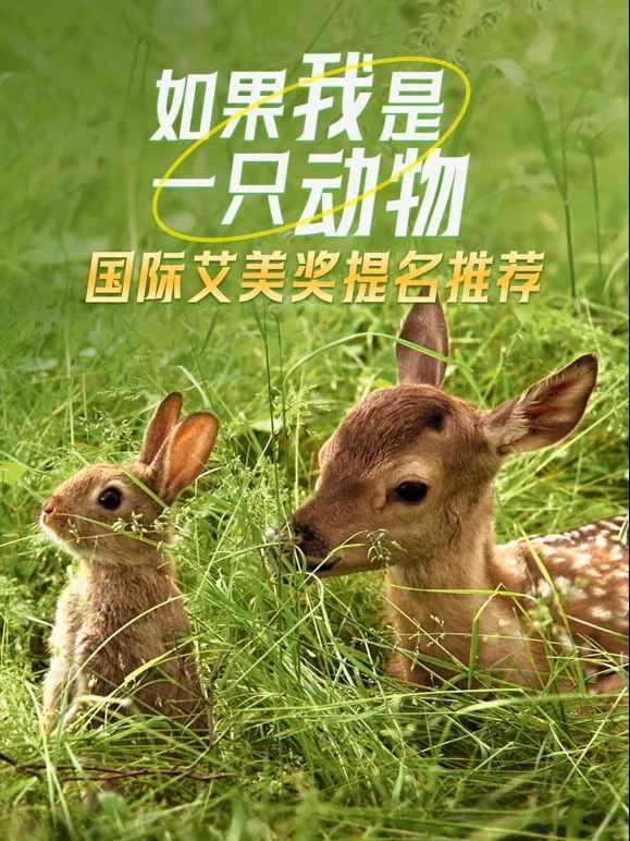 特别篇