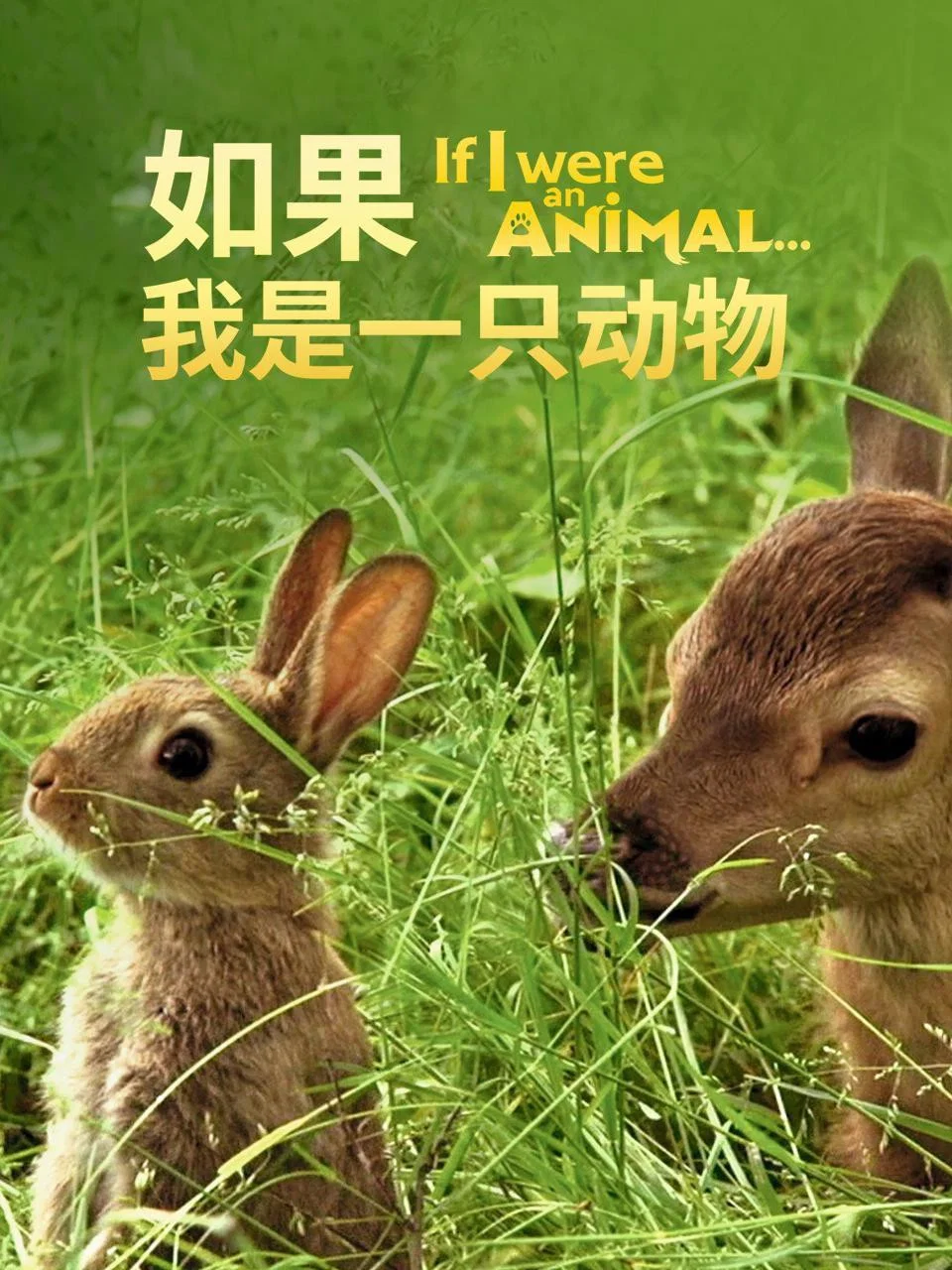 第 1 季